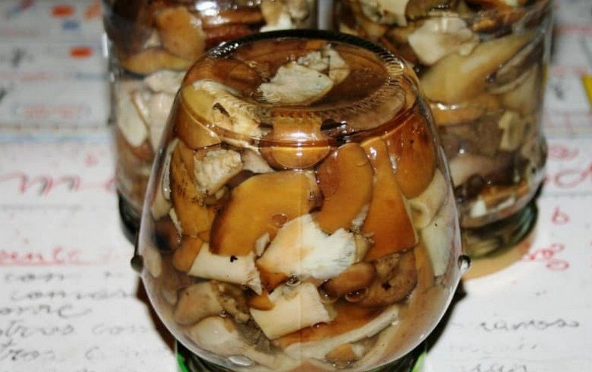 Мариновані рядовки Мариновані рядовки