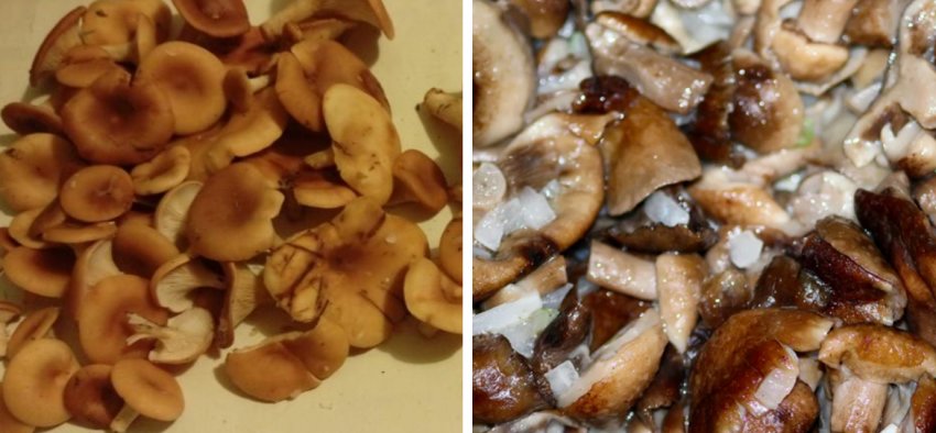 Застосування в кулінарії Застосування в кулінарії