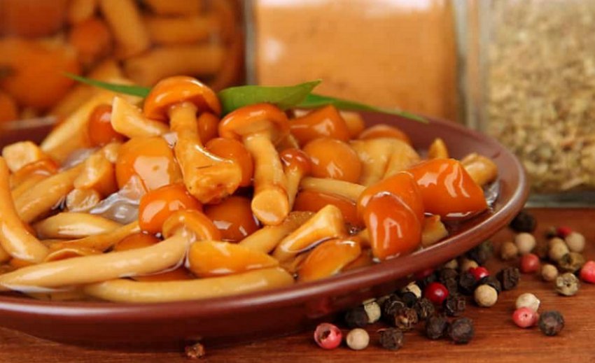 Мариновані опеньки