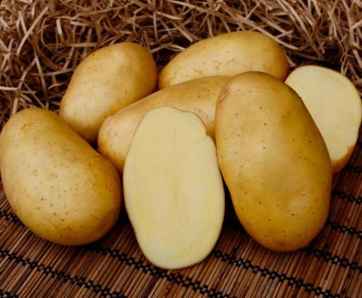 Завод по глибокій переробці картоплі відкрився в Тюменській області