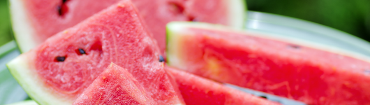 На Алтаї збирають урожай кавунів