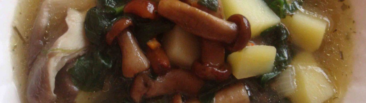 Рецепти смачних супів з опеньків