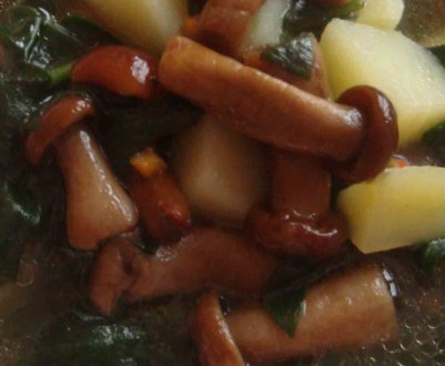 Рецепти смачних супів з опеньків