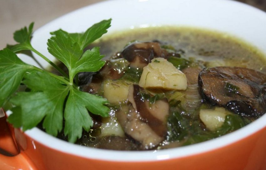 Суп із заморожених печериць Суп із заморожених печериць