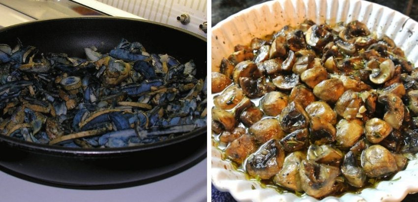 Приготування грибів синців