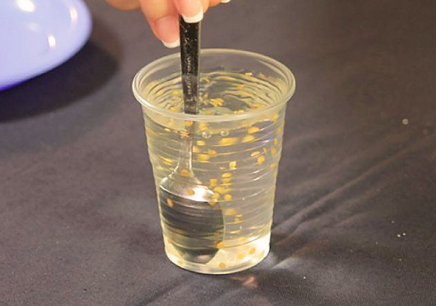 Підготовка насіння Підготовка насіння