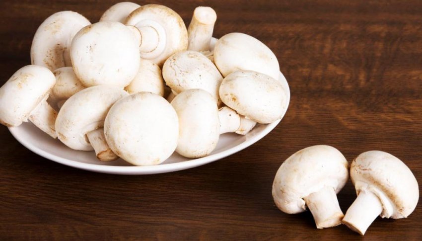 Печериці для супу-пюре