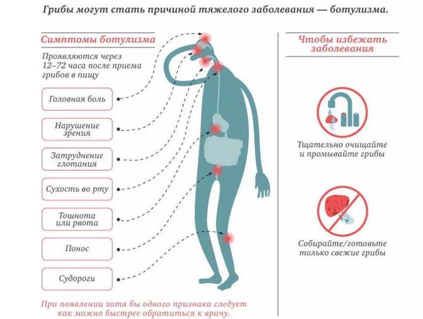 Отруєння грибами
