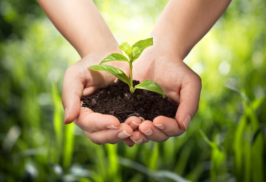 Українські фермери можуть безкоштовно утилізувати тару з-під ЗЗР