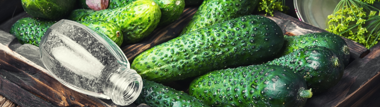 Селекціонери з Нідерландів вивели огірки, стійкі до фузаріозу