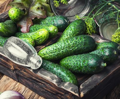 Селекціонери з Нідерландів вивели огірки, стійкі до фузаріозу