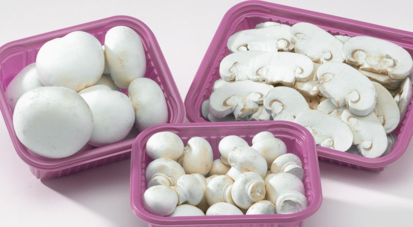 Вибір грибів для приготування крем-супу Вибір грибів для приготування крем-супу