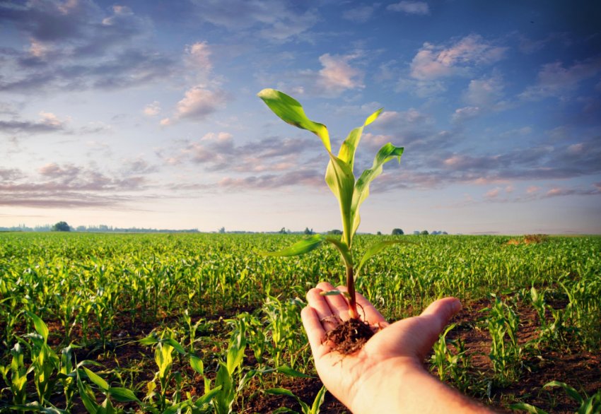 Китай представить екологічно чисті агрохімікати в Кенії Китай представить екологічно чисті агрохімікати в Кенії