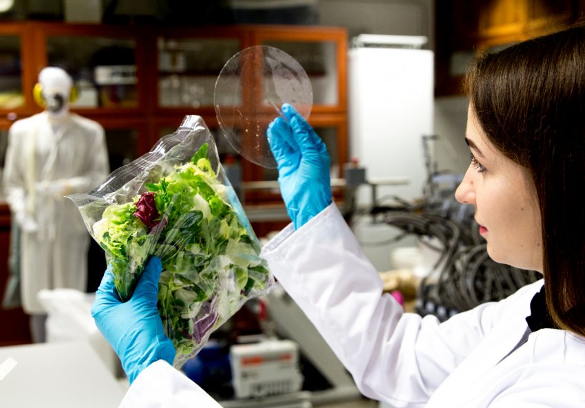 Китай представить екологічно чисті агрохімікати в Кенії Китай представить екологічно чисті агрохімікати в Кенії