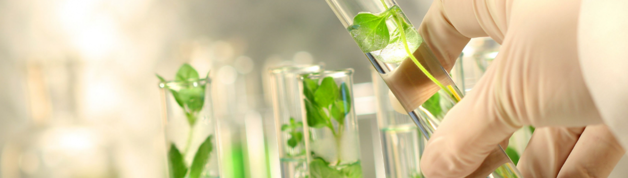 Китай представить екологічно чисті агрохімікати в Кенії