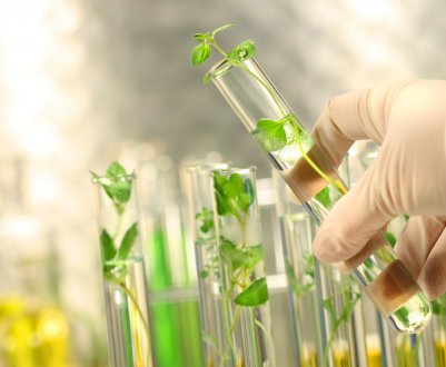 Китай представить екологічно чисті агрохімікати в Кенії