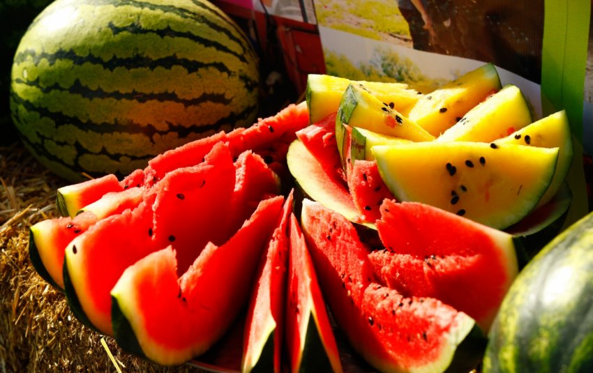 наприкінці сезону реалізації російські фермери підняли ціни на баштанні наприкінці сезону реалізації російські фермери підняли ціни на баштанні