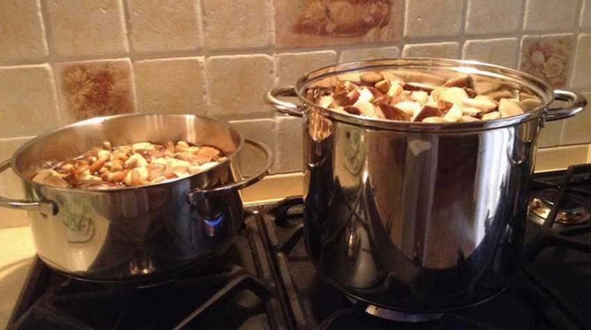 Варіння грибів Варіння грибів