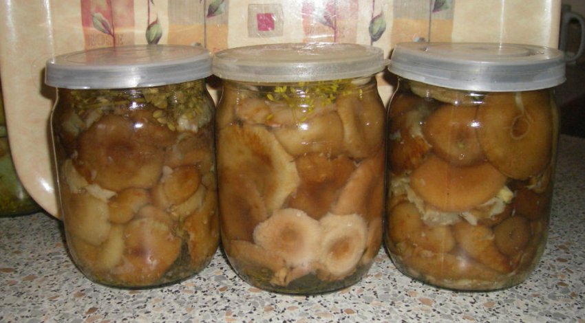 Маринування вонушек Маринування вонушек