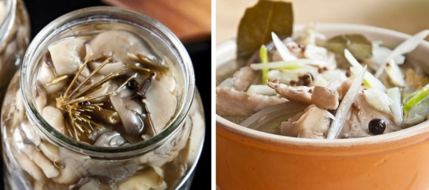 Засолювання грибів Засолювання грибів