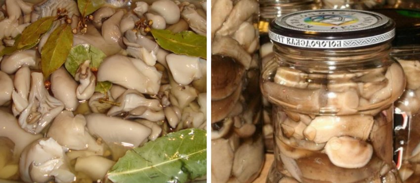 Мариновані гриби Мариновані гриби