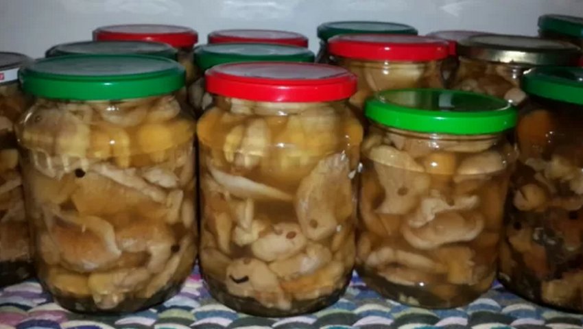 Консервація на зиму Консервація на зиму