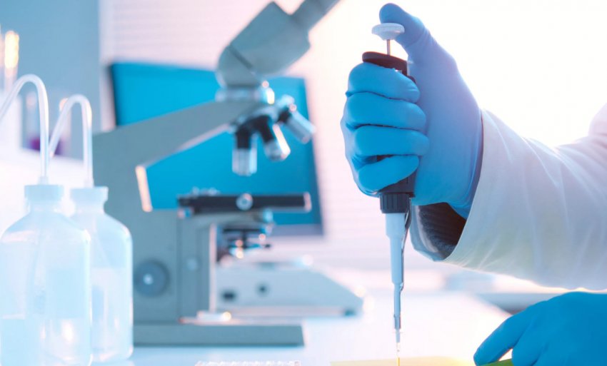 Гриби в медицині Гриби в медицині