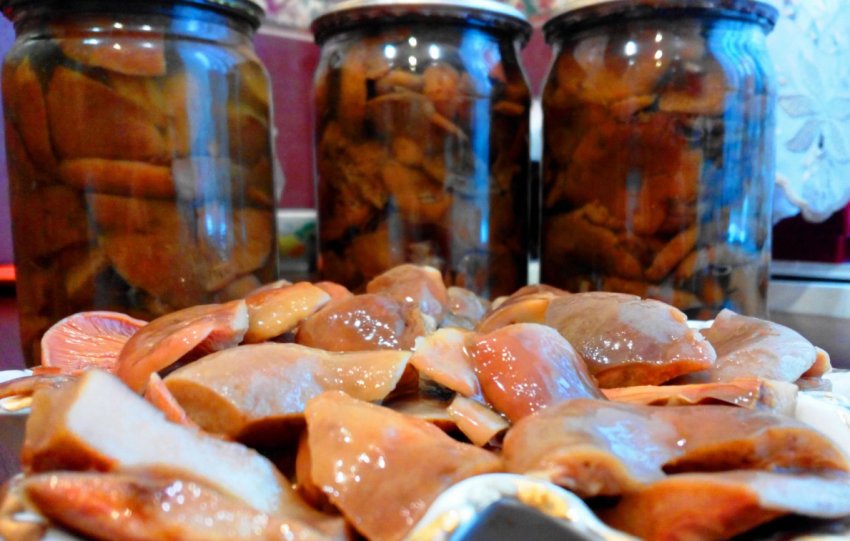 Консервовані гриби Консервовані гриби