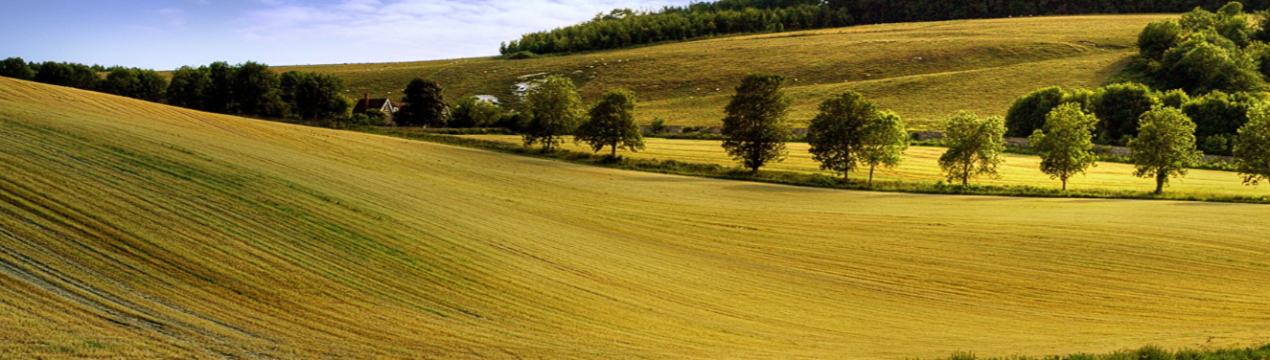 Інвестори в сільське господарство Далекого Сходу утворили живу чергу