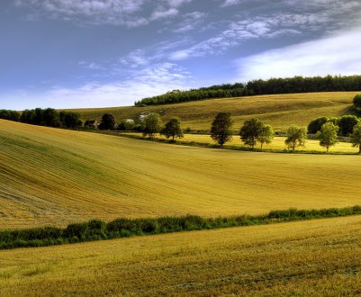 Інвестори в сільське господарство Далекого Сходу утворили живу чергу