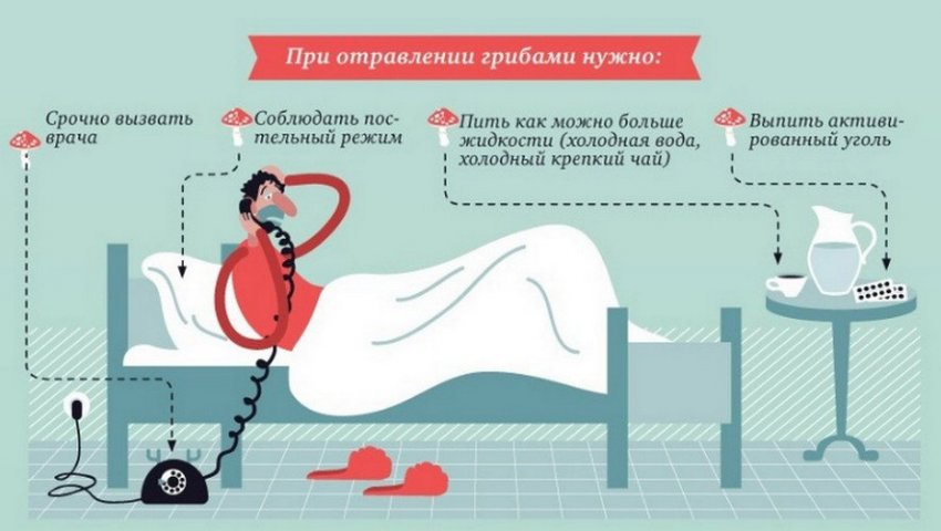 Действия при отравлении грибами