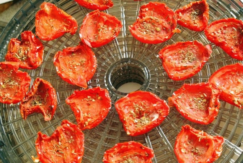 Сушка томатов в электросушилке
