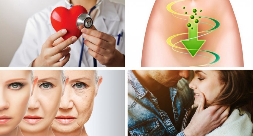 Благотворний вплив гриба на організм