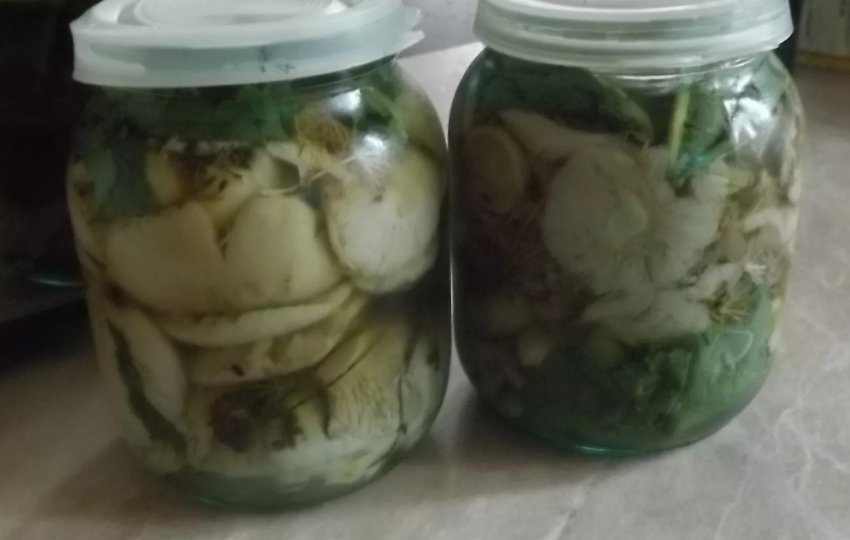 Мариновані сироїжки с хреном