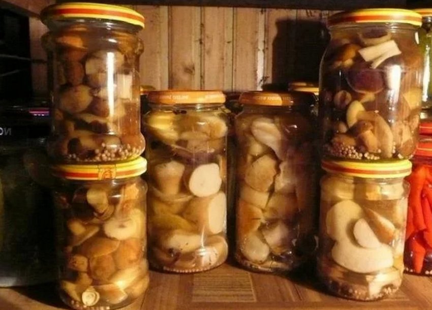 Маринованные грибы свинушки. Как солить ельничные грибы на зиму. Маринованные грибочки на зиму. Валуи маринованные. Грибы волнушки соленые.