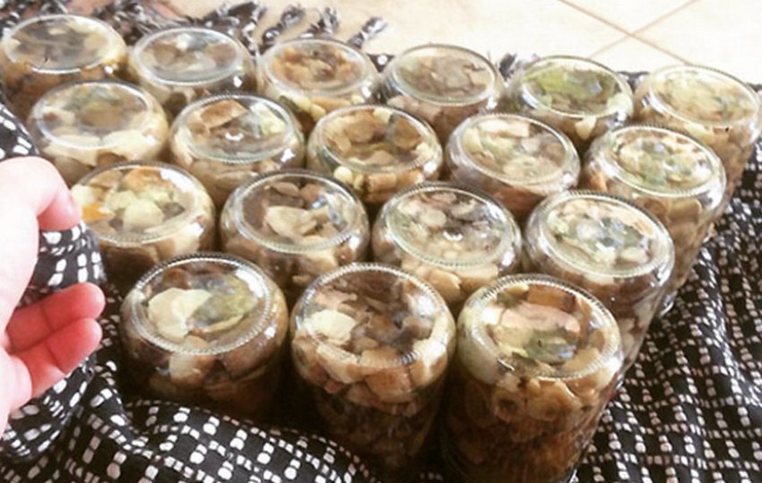 Сироїжки мариновані з цибулею