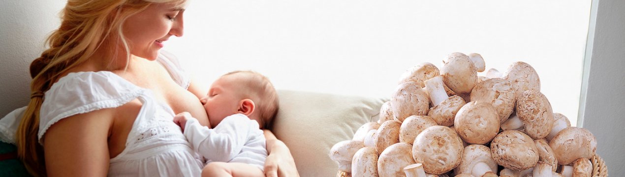 Гриби печериці при грудному вигодовуванні: можна чи ні