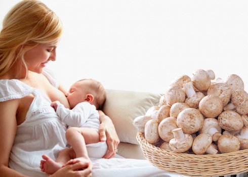 Гриби печериці при грудному вигодовуванні: можна чи ні