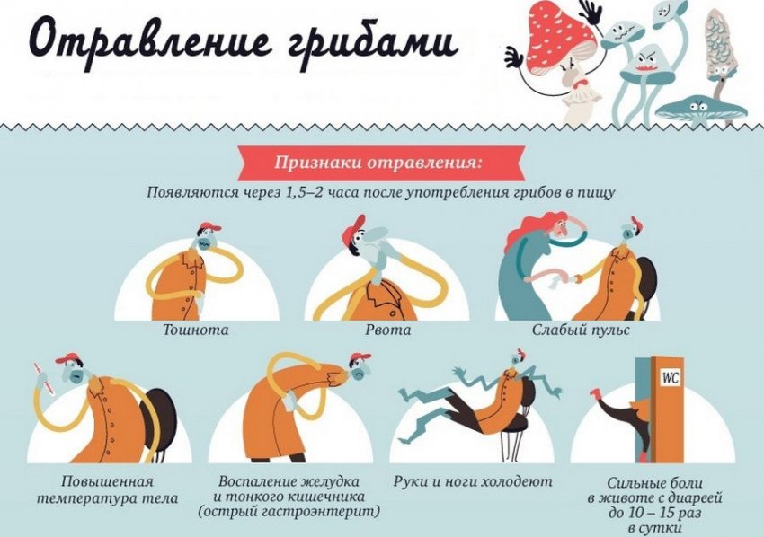 Отруєння грибами Отруєння грибами