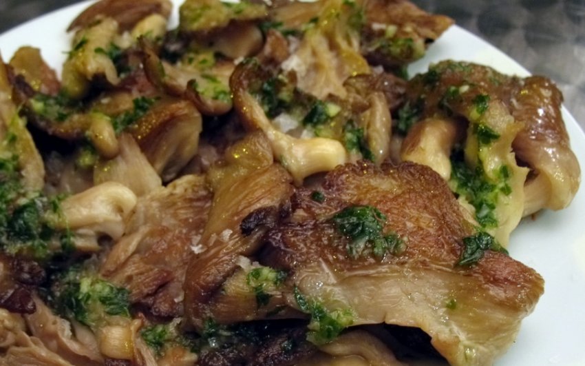 Смажені сироїжки Смажені сироїжки