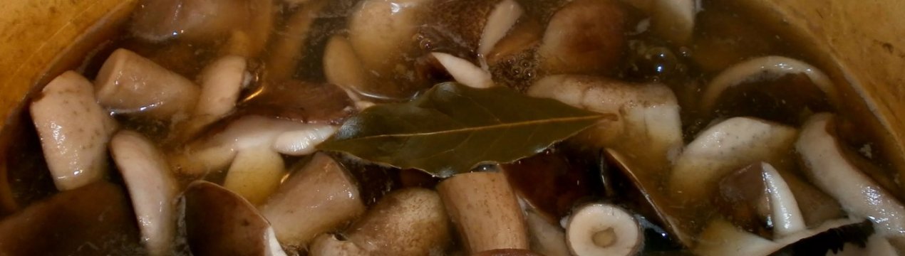 Тривалість відварювання підберезників