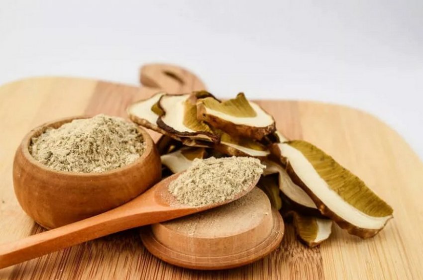 Порошок з грибів