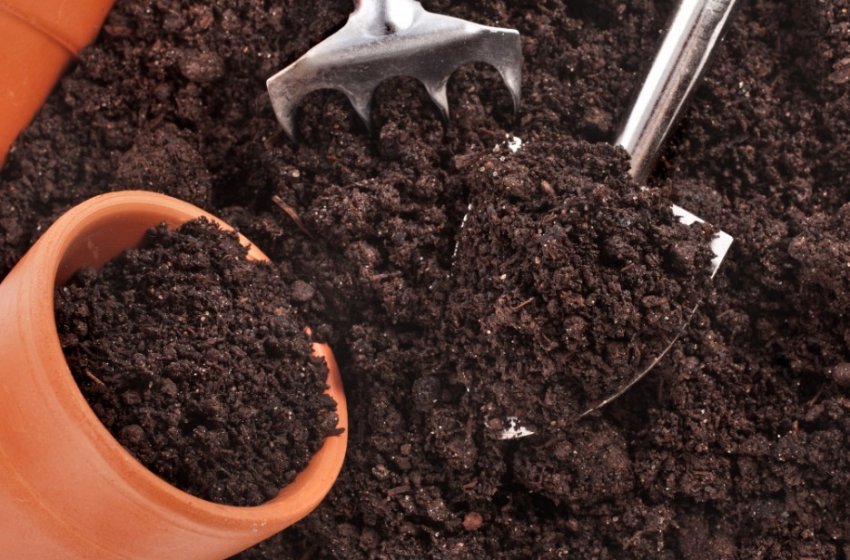 Підготовка грунту Підготовка грунту