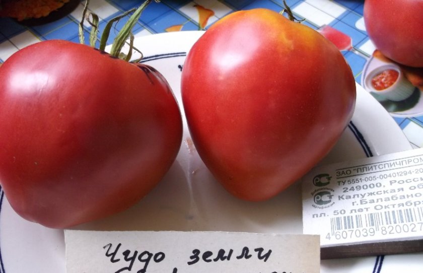 Томат чудо земли Томат чудо земли