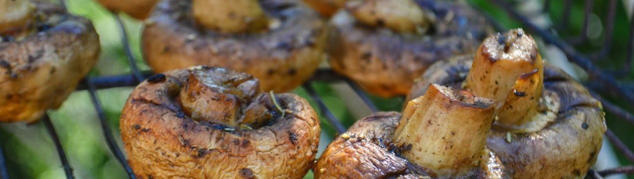 Як приготувати гриби печериці на багатті: рецепти приготування, маринади, скільки готуються