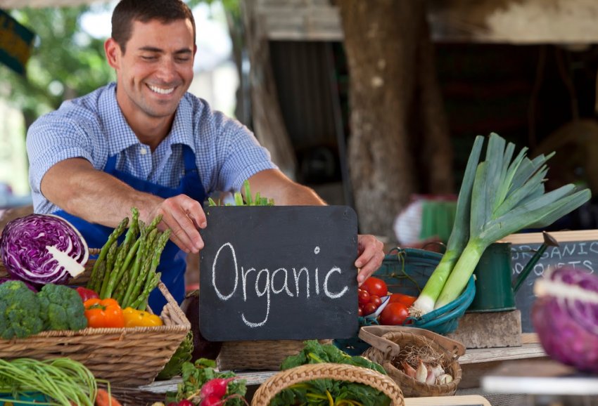 Україна вперше братиме участь у міжнародній виставці здорового харчування та інновацій Україна вперше братиме участь у міжнародній виставці здорового харчування та інновацій