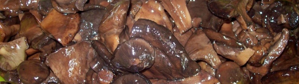 Приготування свинушок, рецепти, покрокова інструкція