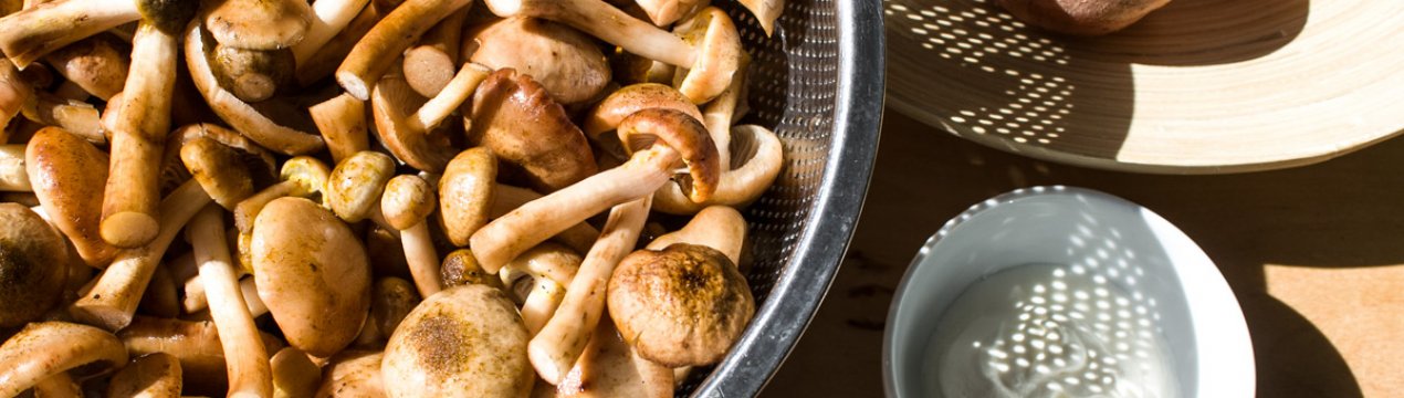 Способи приготування лугових опеньків