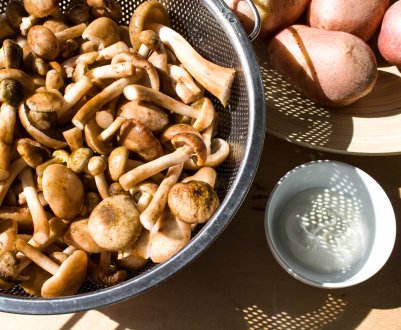 Способи приготування лугових опеньків