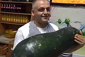 Турецький фермер виростив огірок вагою 21 кілограм Турецький фермер виростив огірок вагою 21 кілограм